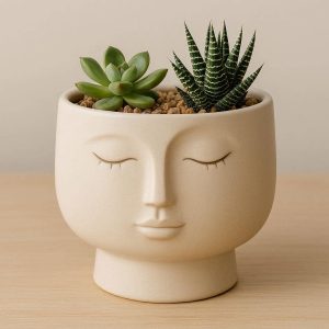 Modern Ceramic Planter With Face Design For Small Succulents